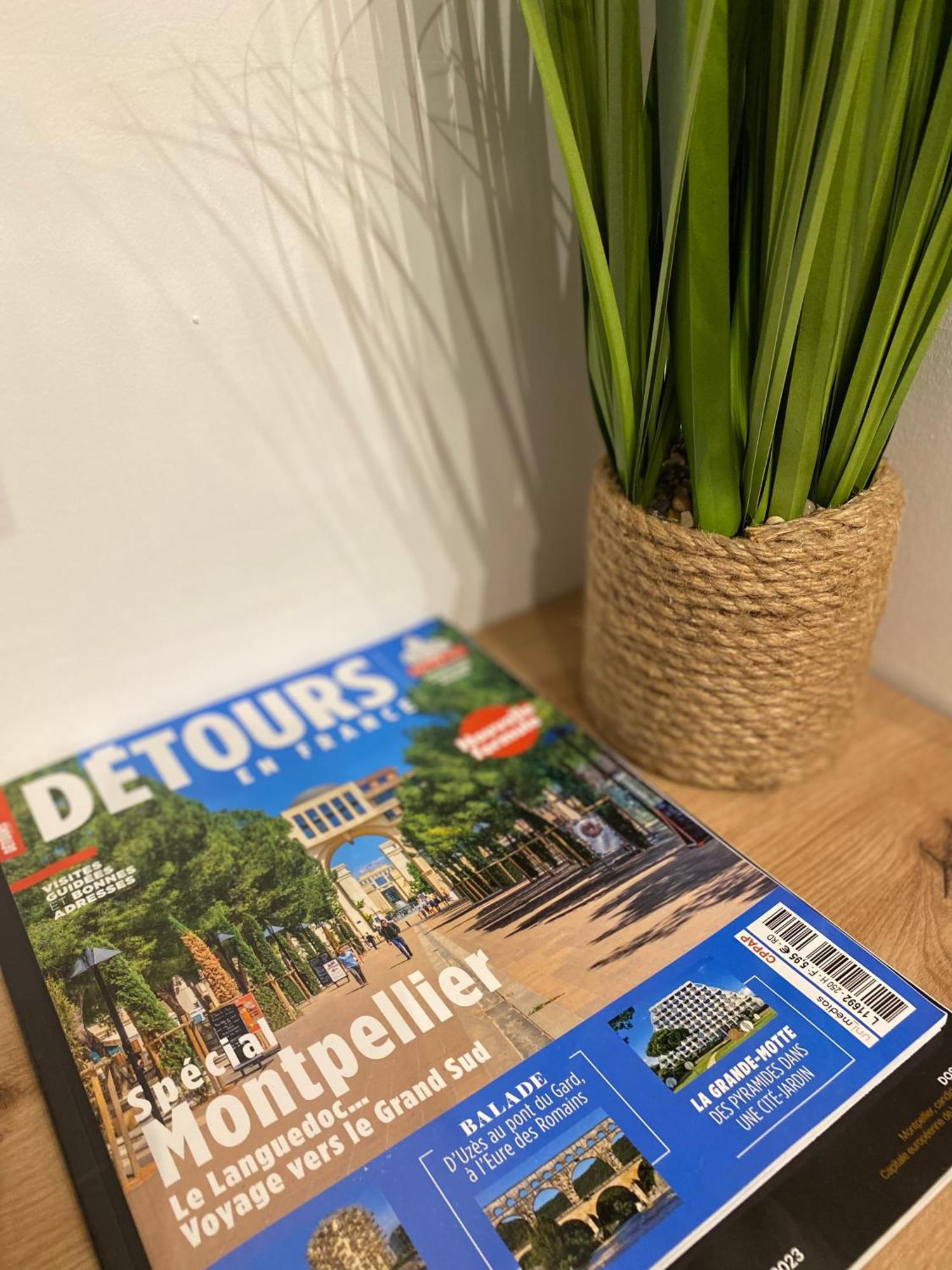 蒙彼利埃Rives Du Lez - Prestige公寓 外观 照片